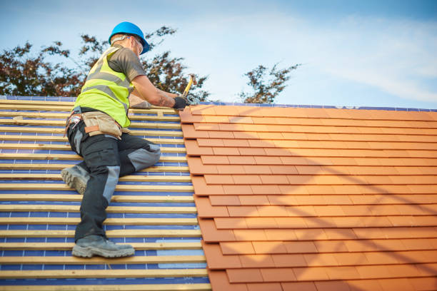 Best Chimney Flashing Repair  in Ridgeland, MS